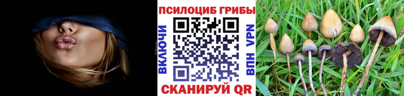 нарко площадка наркотические препараты  закладка  Благовещенск  Галлюциногенные грибы Cubensis 
